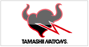 Tamashii Nations